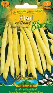 Fazol keříčkový žlutý, Blanche (semena)