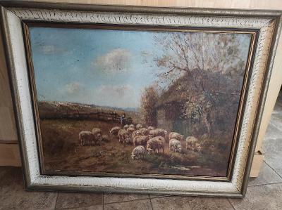 Starý nádherný obraz - pasáček ovcí
