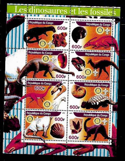 Kongo 2004 - dinosauři a fosílie I.