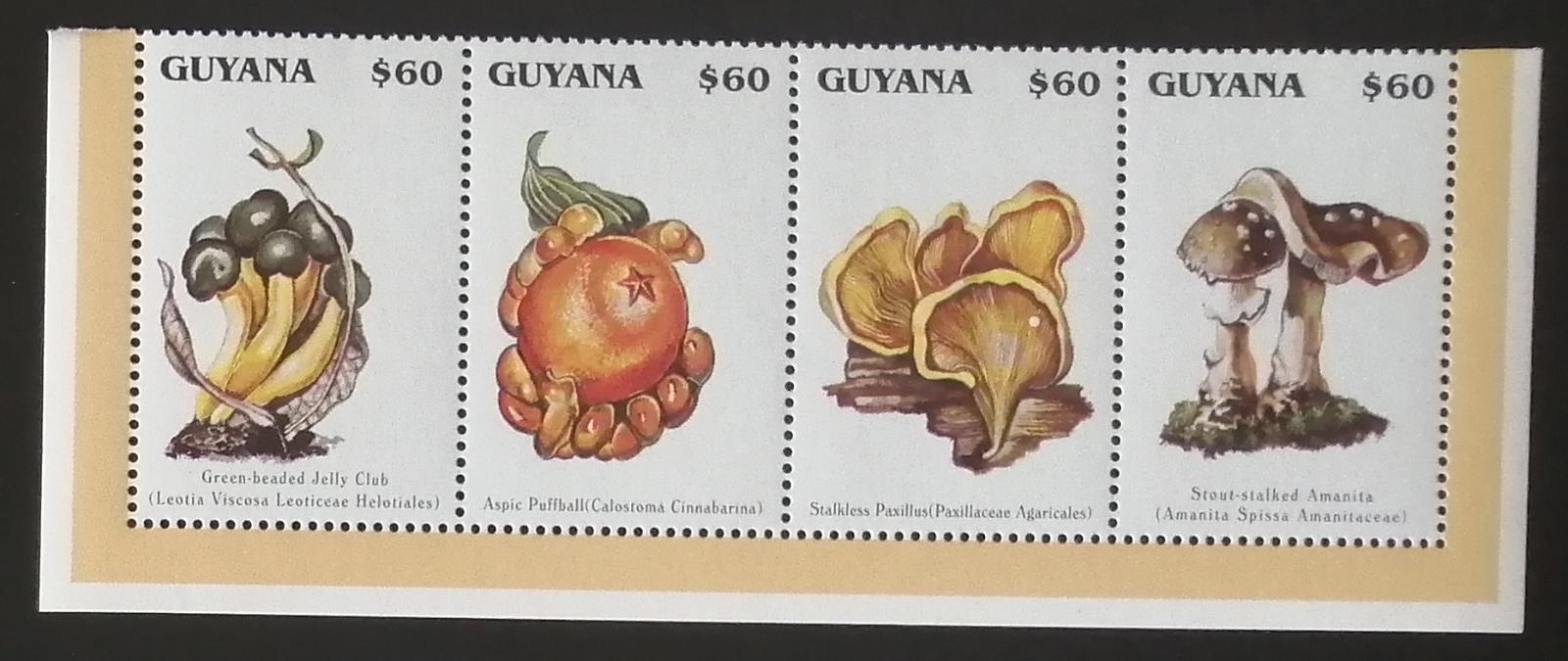 Guyana 1996 Mi.5542-5 7€ Houby Jižní Ameriky, mykologie - Známky