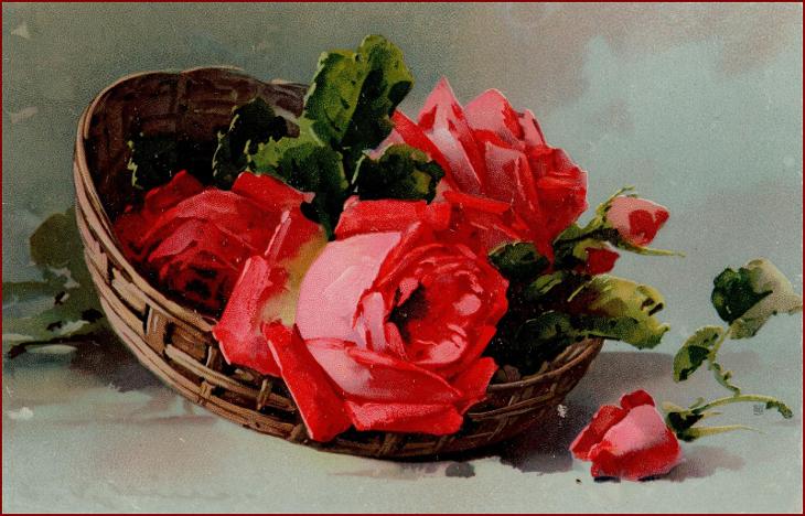 Catharina Klein * růže, květy, květiny, košík, signováno * M2583