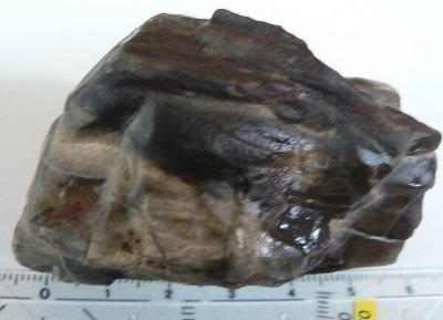 zkamenělé dřevo(dg141)