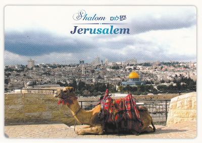 Israel -  JERUSALEM - panorama s velbloudem