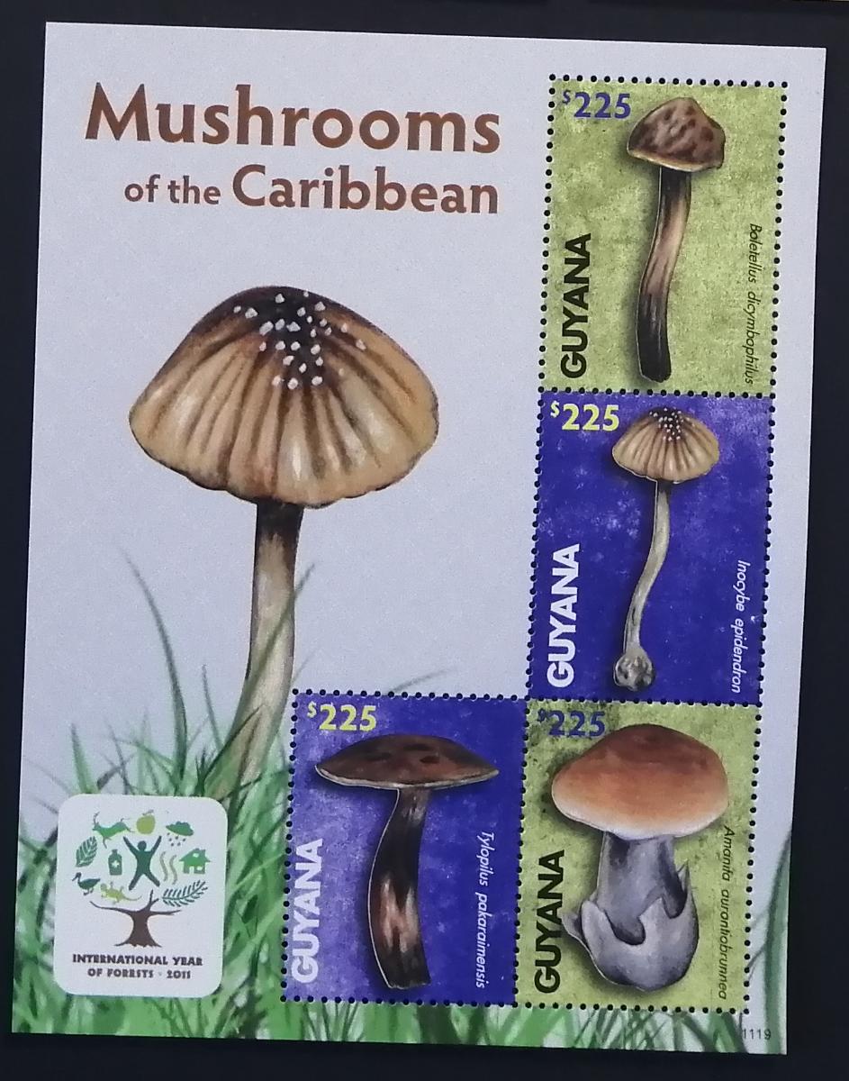 Guyana 2011 Mi.8228-1 10€ Houby Jižní Ameriky, flora Karibiku - Známky