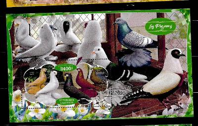 Gabon 2020 - holub rejdič