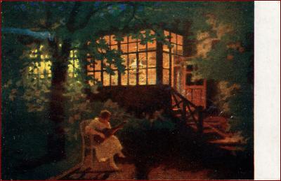 Hudebník * žena, terasa, zahrada, noční osvětlení, umělecká * M5764