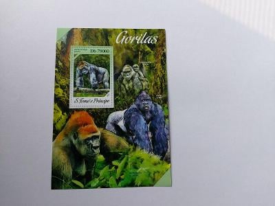Nový čistý Aršík - Gorila  (41 - 66)