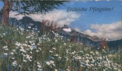 27A1828 Alpy - rozkvetlá jarní louka, strojové razítko