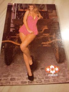 2. 10. - Kartičkové kalendáříky - Akty, Erotika - 1990 - Pleas !!