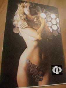 2. 10. - Kartičkové kalendáříky - Akty, Erotika - 1988 -tukový průmysl