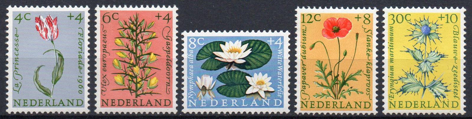 Holandsko-Flóra 1960**  Mi.746-750 / 18 € - Známky