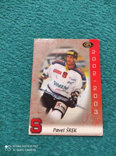 Pavel Šrek hokejová kartička - Hokejové karty