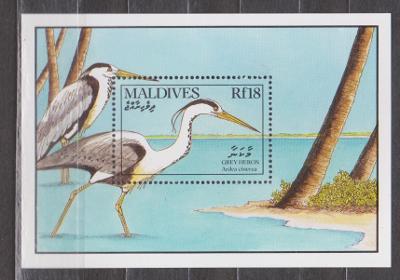 Maledivy - volavky