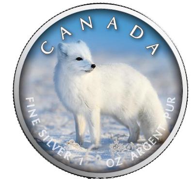 Stříbrné mince MAPLE LEAF - Polar Fox - 1 OZ Color 
