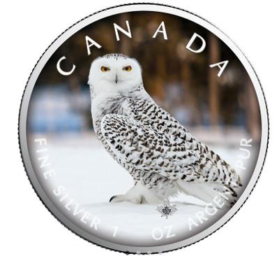 Stříbrné mince MAPLE LEAF - Snowy Owl - 1 OZ Color