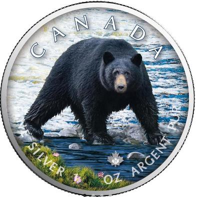 Stříbrné mince MAPLE LEAF - Black Bear - 1 OZ Color 
