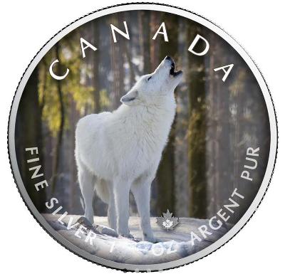 Stříbrné mince MAPLE LEAF - Arctic  Wolf- 1 OZ Color