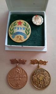 PSVB - vzorný člen, čestný odznak