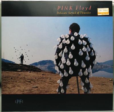 Pink Floyd – Delicate Sound Of Thunder 1988 Holland press Vinyl 2LP