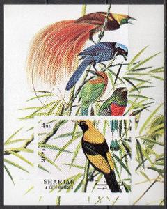 Sharjah-Tropičtí ptáci 1972**  Mi.Bl.121 / 5,50 €