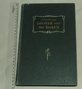 Lehrbuch der Botanik - Strasburger - 1905 - rostliny rostlina