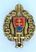 Velký Čepicový odznak - Slovenská armáda - dôstojnícky  - Sběratelství