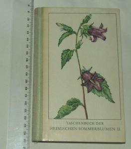 Taschenbuch der heimischen Sommerblumen II - F. Koch - rostliny