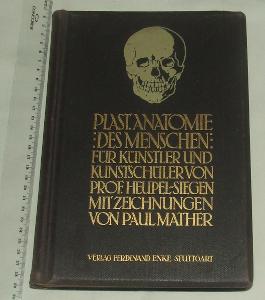 Plastische Anatomie des Menschen - anatomie člověk malba - 1913