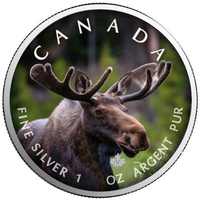 Stříbrná mince - MAPLE LEAF - LOS - 1 OZ - CANADA - 2021