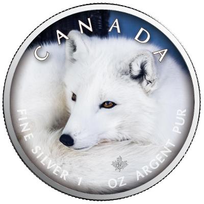 Stříbrná mince - MAPLE LEAF - POLÁRNÍ LIŠKA - 1 OZ - CANADA - 2021