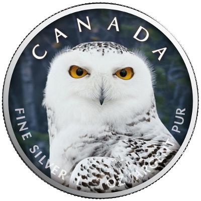 Stříbrná mince - MAPLE LEAF - SNĚŽNÁ SOVA - 1 OZ - CANADA - 2021