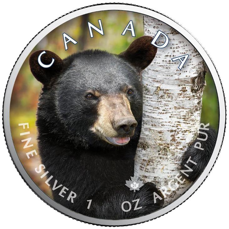 Stříbrná mince - MAPLE LEAF - ČERNÝ MEDVĚD - 1 OZ - CANADA - 2021 - Numismatika
