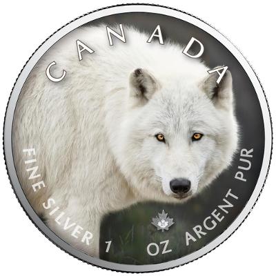 Stříbrná mince - MAPLE LEAF - ARKTICKÝ VLK - 1 OZ - CANADA - 2021