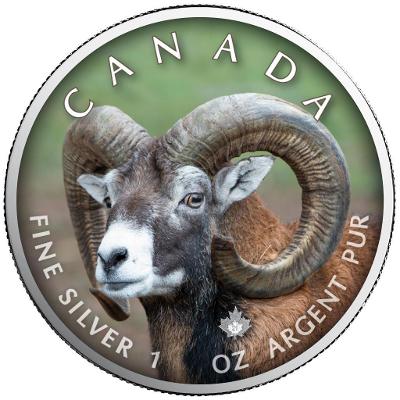 Stříbrná mince - MAPLE LEAF - MUFLON - 1 OZ - CANADA - 2021
