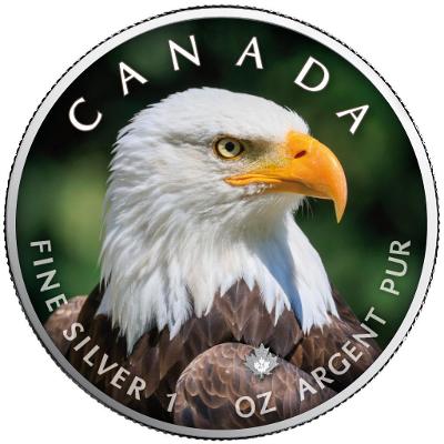 Stříbrná mince - MAPLE LEAF - OREL BĚLOHLAVÝ - 1 OZ - CANADA - 2021