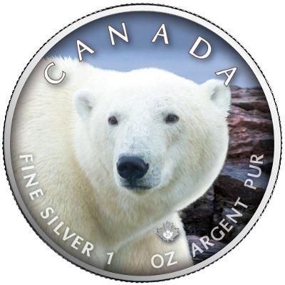 Stříbrná mince - MAPLE LEAF - LEDNÍ MEDVĚD - 1 OZ - CANADA - 2021
