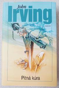 Kniha John Irving Pitná kúra, Pěkná!
