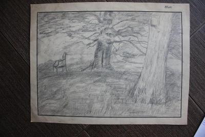 Kresba -křeslo pod stromem