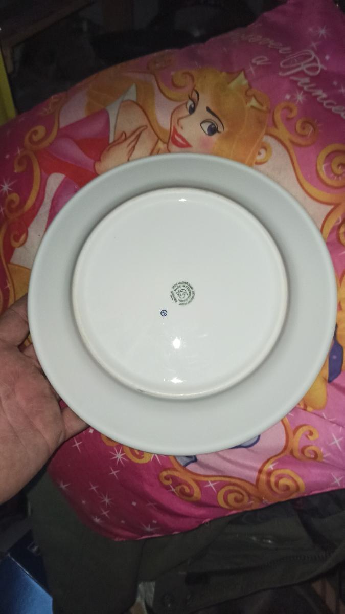 talíř cibulák - Starožitné porcelánové talíře