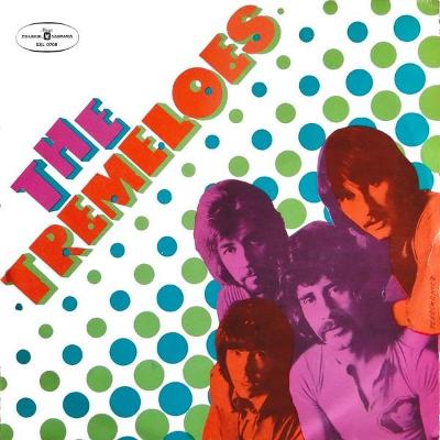 🎤 LP The Tremeloes – Here Come The Tremeloes