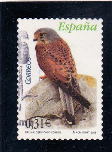 Španělsko - fauna
