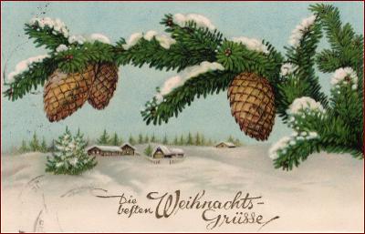 Vánoce * větvička, šišky, chalupa, zimní krajina, gratulační * M5366
