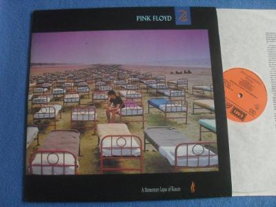 LP Pink Floyd - A Momentary Lapse of Reason