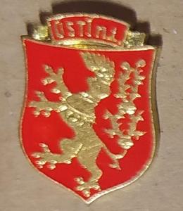 P115 Odznak Ústí nad Labem  1ks