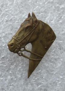 odznak - hlava koně, kůň, dostihy