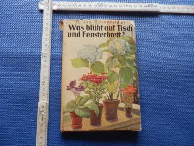 stará kniha o rostlinách v NJ