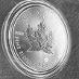🇨🇦 1oz ❗️2018 Maple Leaf ❗️ 9999Ag strieborná mince - Numizmatika