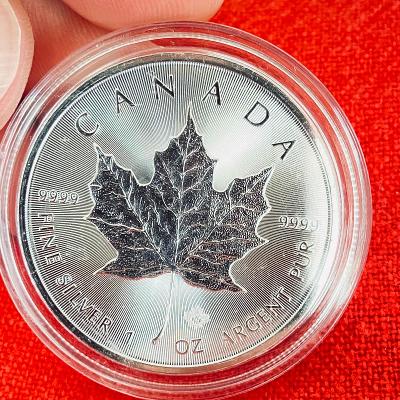 🇨🇦 1oz ❗️2018 Maple Leaf ❗️ 9999Ag strieborná mince