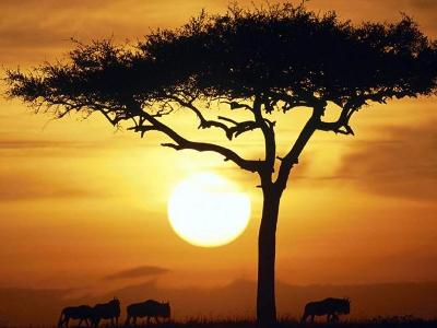 Zájezd do Tanzanie (safari a Zanzibar)