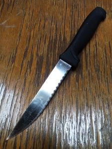 Steakový nůž nerez ocel 21 cm